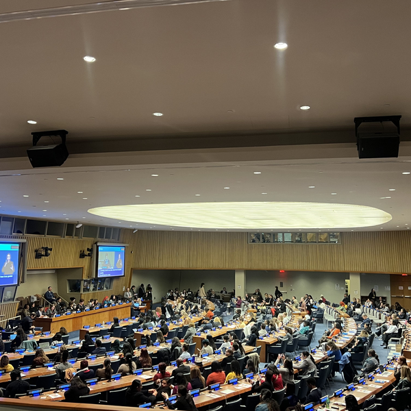 Ukrainian Roma women spoke at the 69th UN session in New York. What did they say to the world?