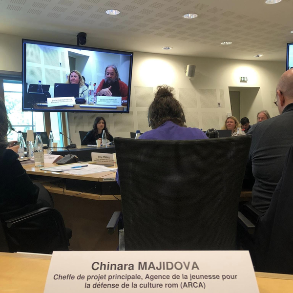 The Council of Europe Dialogue with Roma and Traveler civil society